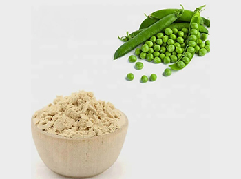 Pea Protein
